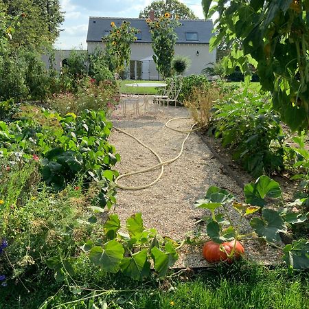 Le Gite Du Chemin Vert Pontlevoy Bagian luar foto