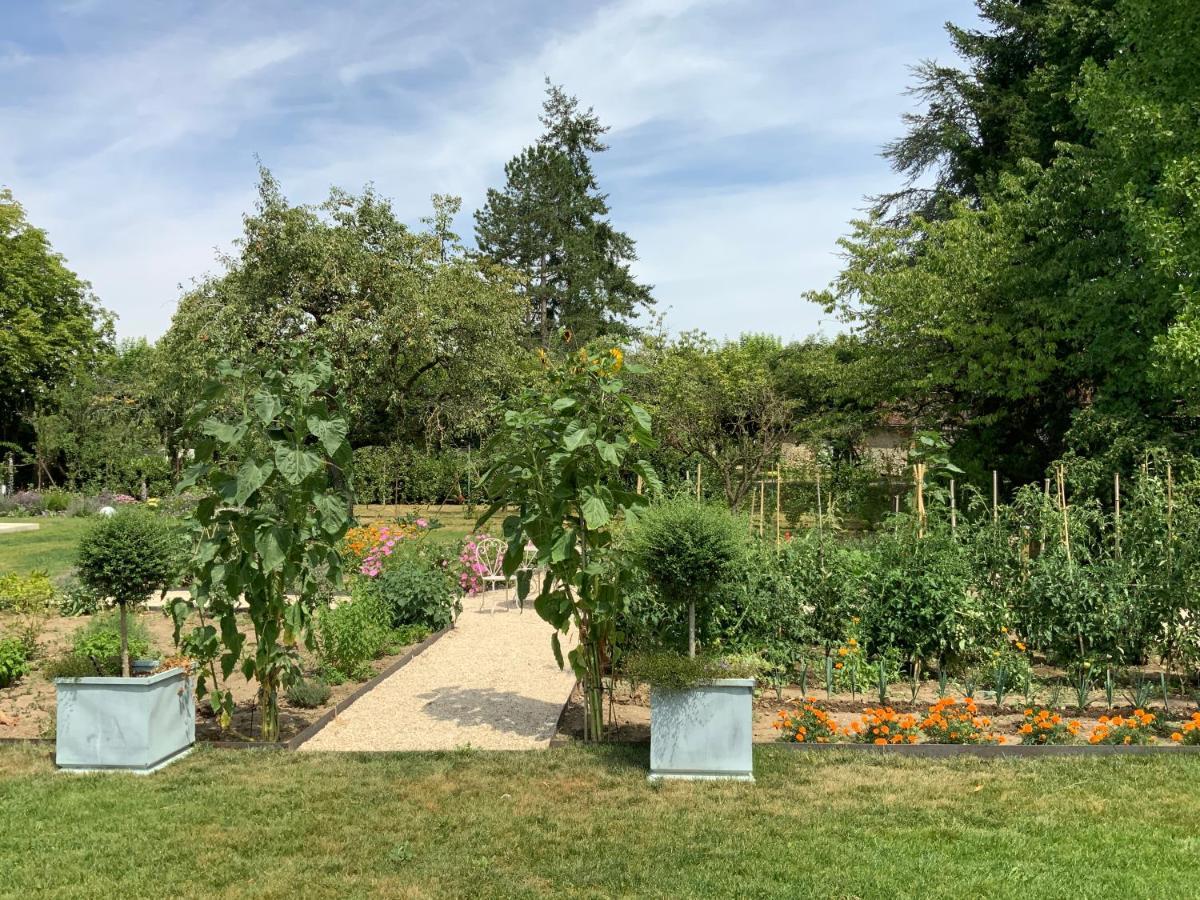 Le Gite Du Chemin Vert Pontlevoy Bagian luar foto